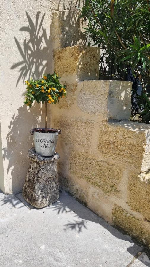 Chambre Saint Emilion - Le Clos D'Antan Les Artigues-de-Lussac ภายนอก รูปภาพ